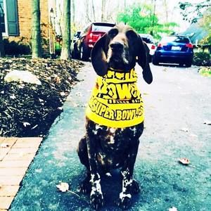 Meet your Posher, Ed